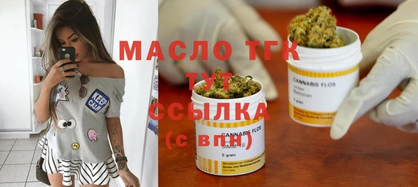 шишки Верея