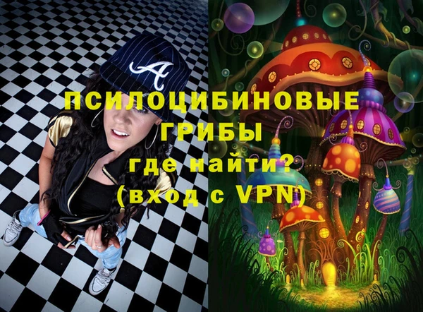 apvp Верхний Тагил