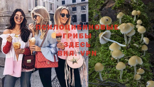 ГАЛЛЮЦИНОГЕННЫЕ ГРИБЫ Верхнеуральск