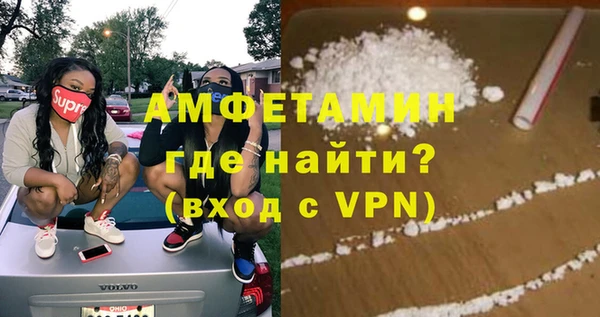 шишки Верея