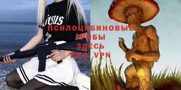шишки Верея