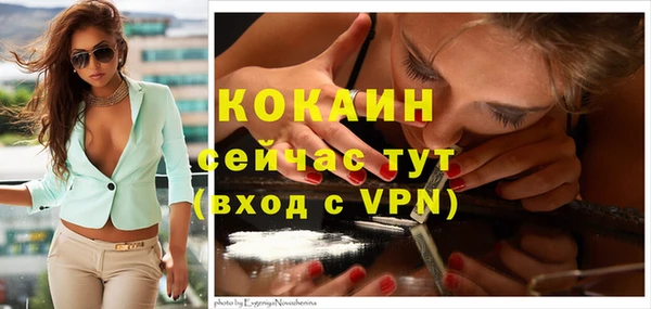 apvp Верхний Тагил