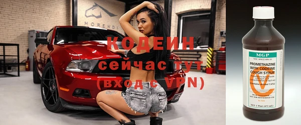 шишки Верея