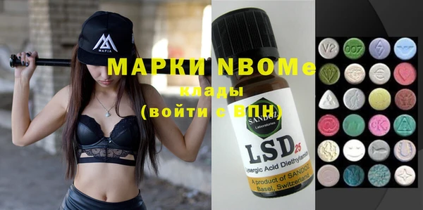 шишки Верея