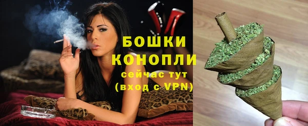 шишки Верея
